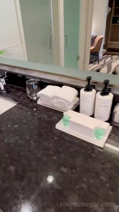 One-Bedroom King Suite with Strip View - Hearing Access (#18208) picture #15