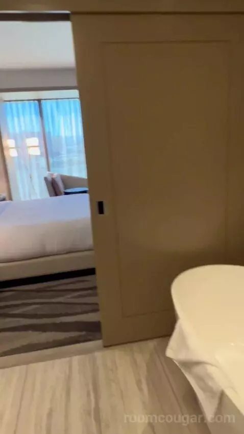 One-Bedroom King Suite with Strip View - Hearing Access (#18208) picture #17