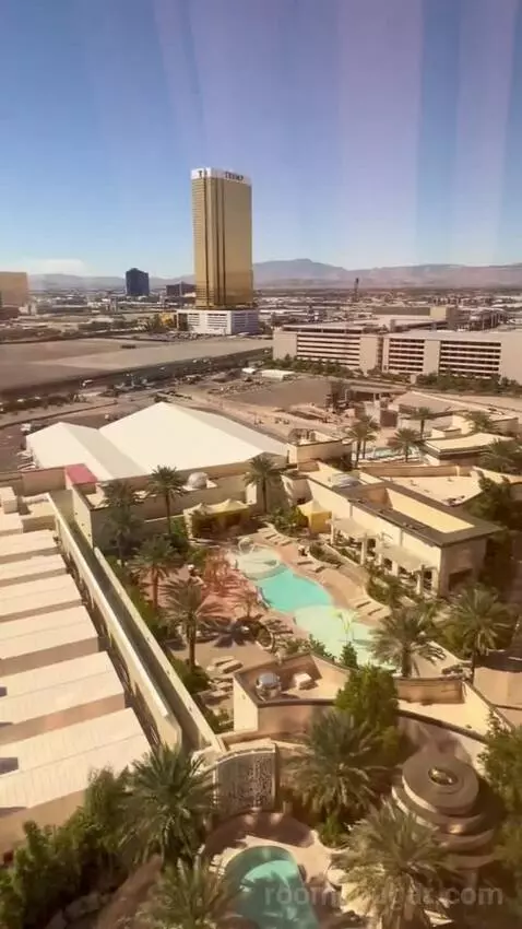 One-Bedroom King Suite with Strip View - Hearing Access (#18208) picture #6