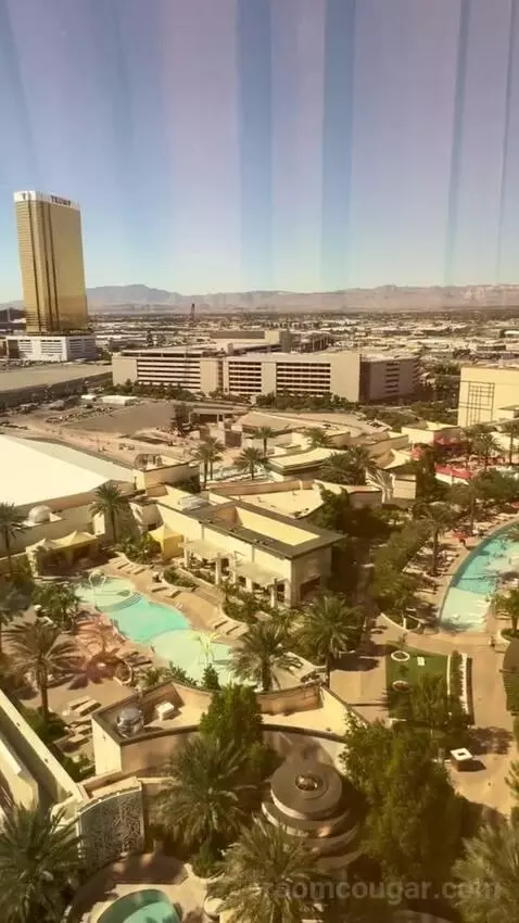 One-Bedroom King Suite with Strip View - Hearing Access (#18208) view picture #7