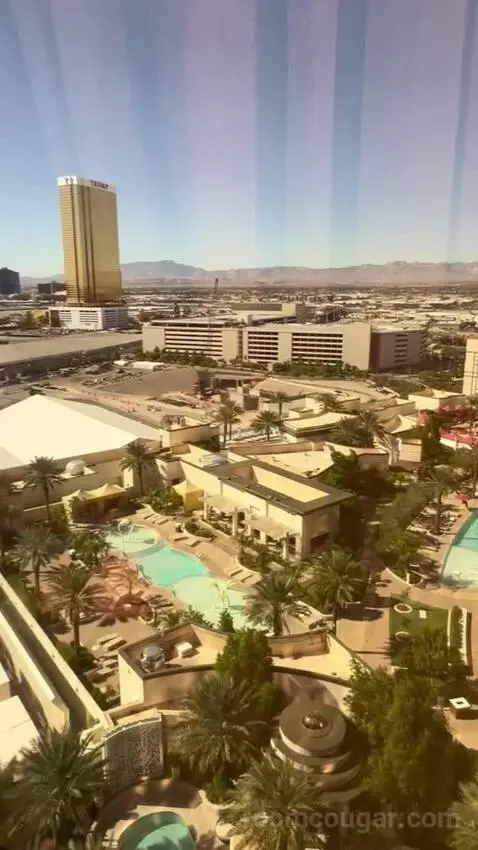 One-Bedroom King Suite with Strip View - Hearing Access (#18208) view picture #8