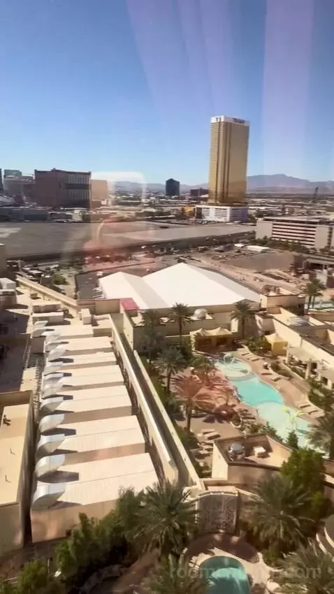 One-Bedroom King Suite with Strip View - Hearing Access (#18208) view picture #12