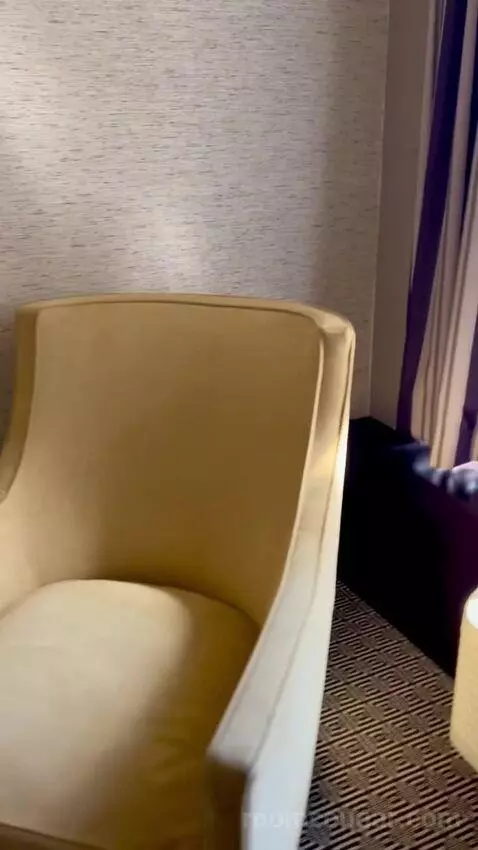 Deluxe King Room (#1216) picture #16