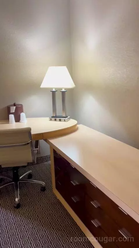 Deluxe King Room (#1216) picture #3