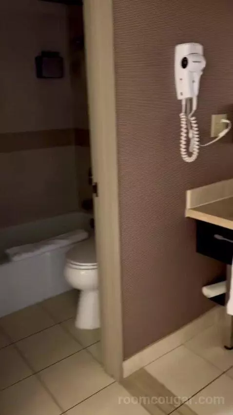 Deluxe King Room (#1216) bathroom picture #1