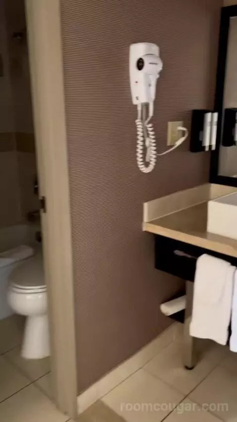 Deluxe King Room (#1216) bathroom picture #3