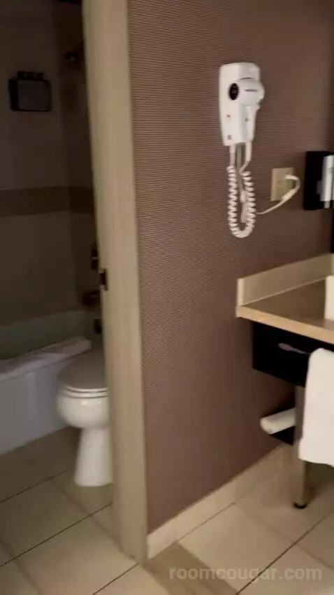 Deluxe King Room (#1216) picture #6