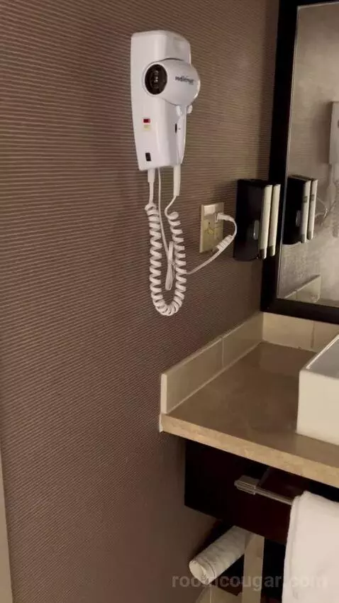 Deluxe King Room (#1216) bathroom picture #4