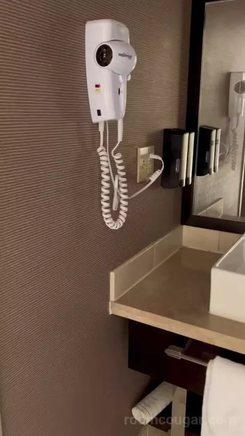 Deluxe King Room (#1216) bathroom picture #6