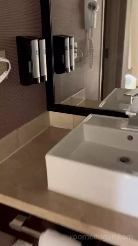 Deluxe King Room (#1216) bathroom picture #9