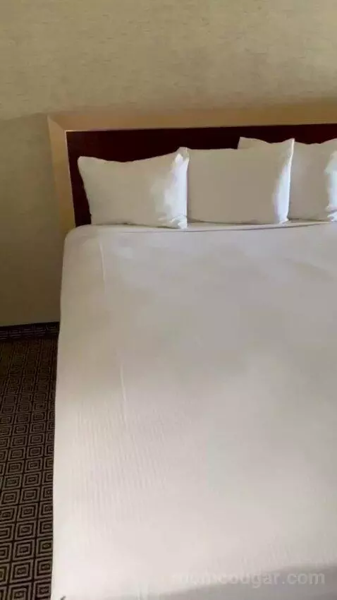 Deluxe Double Room (#1223) picture #1