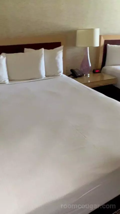 Deluxe Double Room (#1223) picture #2