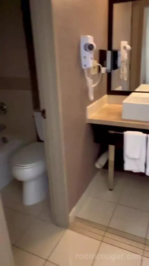 Deluxe Double Room (#1223) bathroom picture #1