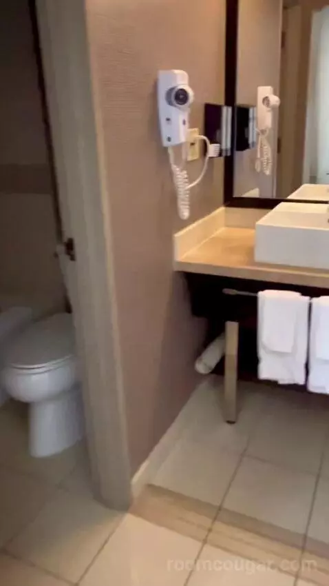 Deluxe Double Room (#1223) bathroom picture #2