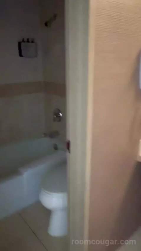 Deluxe Double Room (#1223) bathroom picture #3