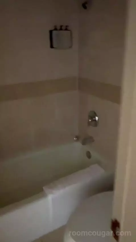 Deluxe Double Room (#1223) bathroom picture #5