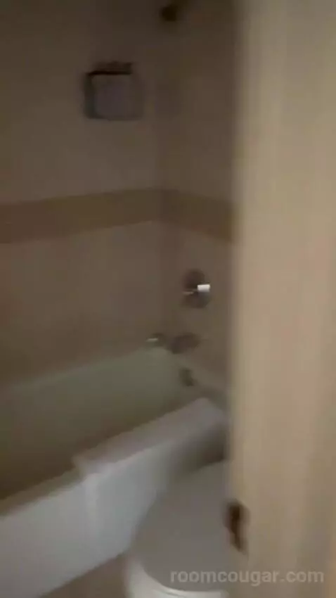 Deluxe Double Room (#1223) bathroom picture #6