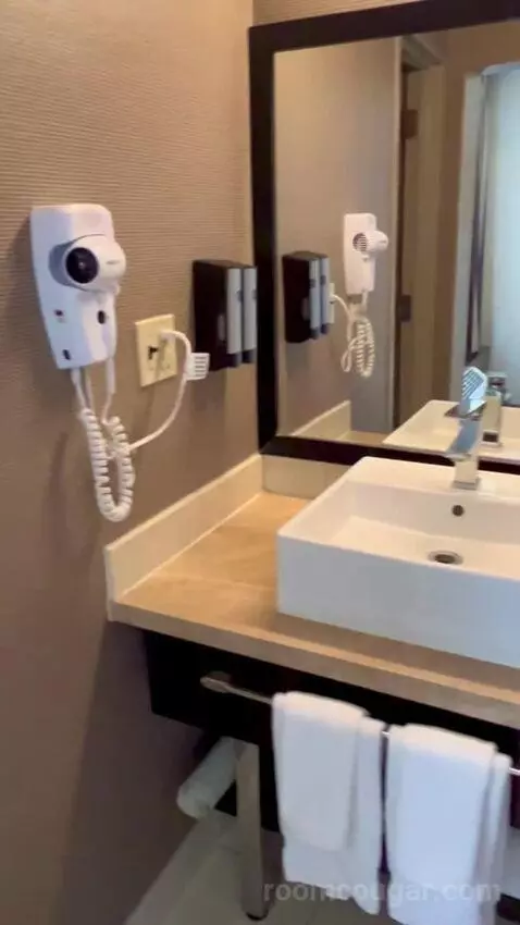 Deluxe Double Room (#1223) bathroom picture #8