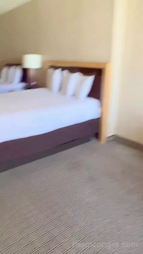 Deluxe Double Room (#1223) picture #18