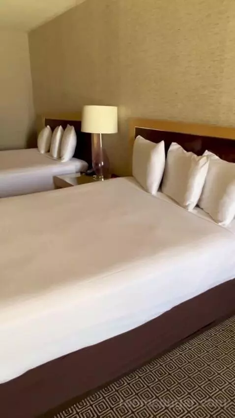 Deluxe Double Room (#1223) picture #20