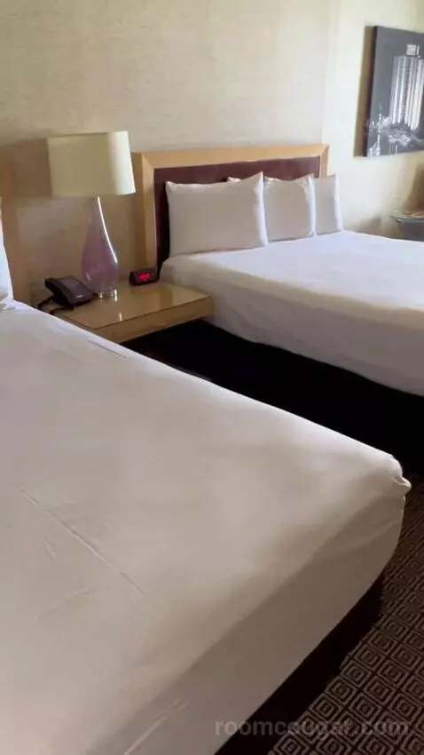 Deluxe Double Room (#1223) picture #3