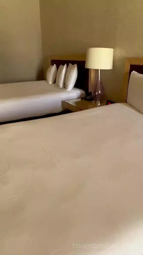 Deluxe Double Room (#1223) picture #21