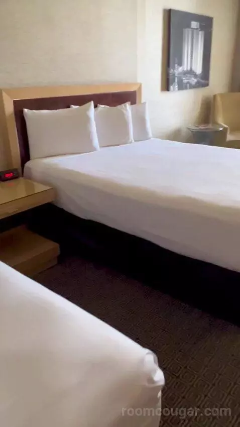 Deluxe Double Room (#1223) picture #4