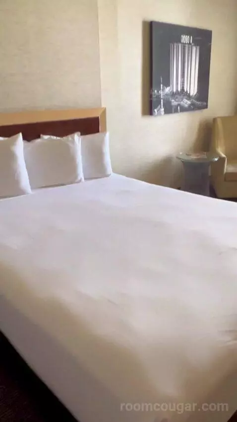 Deluxe Double Room (#1223) picture #5