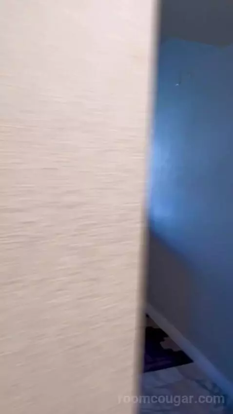 Julius Executive King Room picture #17