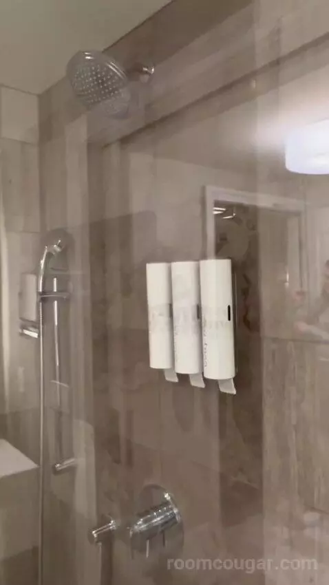 Julius Executive King Room bathroom picture #1