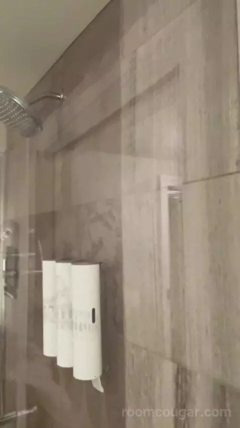 Julius Executive King Room bathroom picture #3