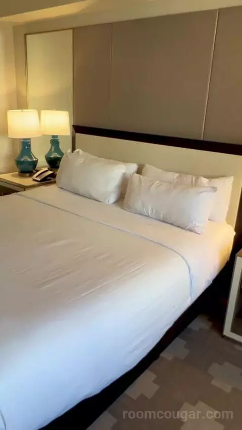 Julius Executive King Room bed picture #8