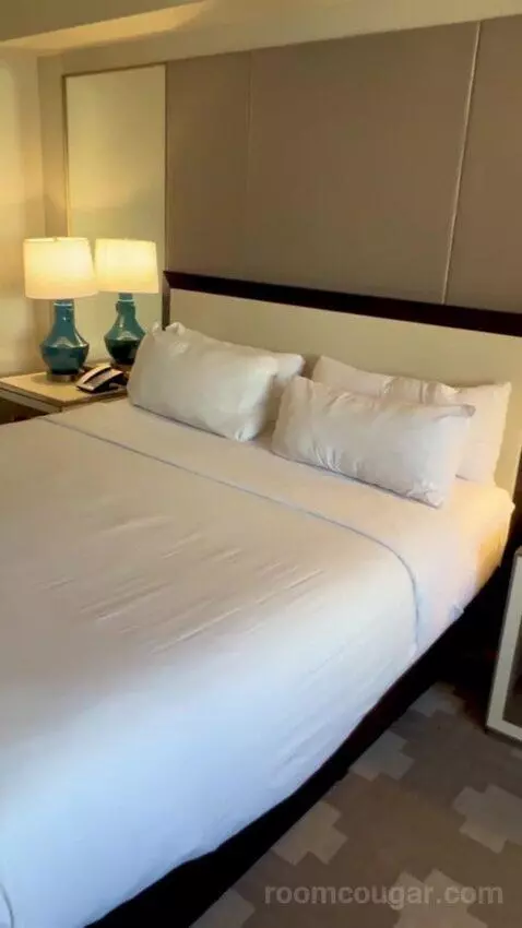 Julius Executive King Room picture #3