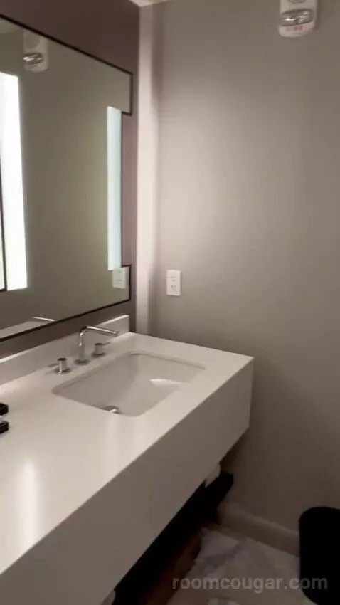 Julius Executive King Room bathroom picture #7