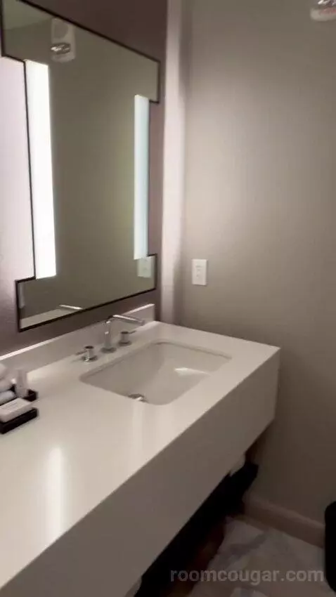 Julius Executive King Room bathroom picture #8