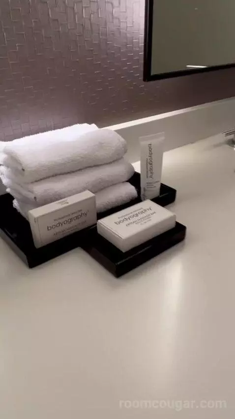 Julius Executive King Room picture #22