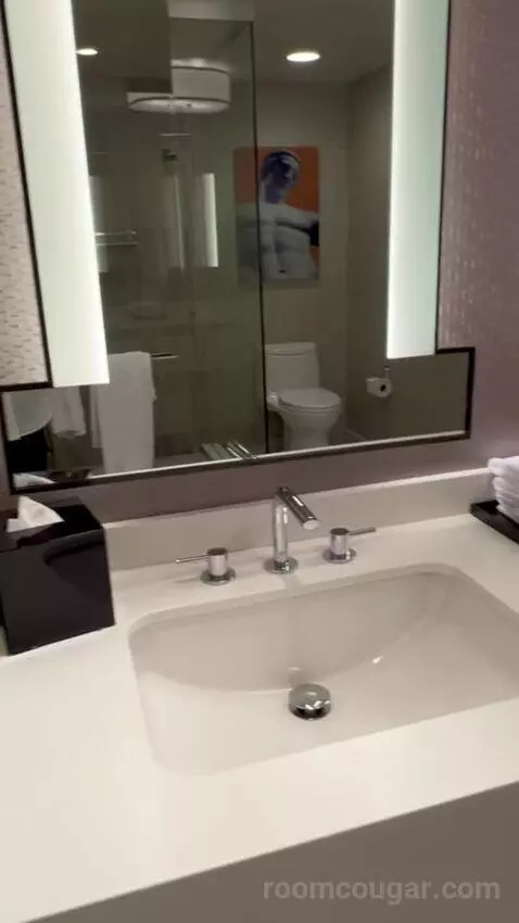 Julius Executive King Room bathroom picture #9