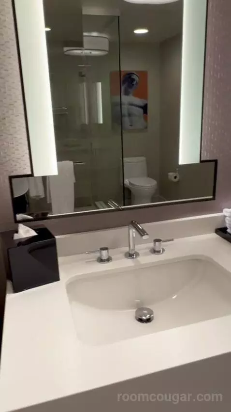 Julius Executive King Room picture #23