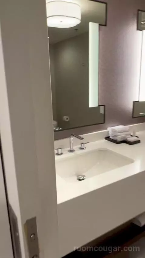 Julius Executive King Room bathroom picture #11