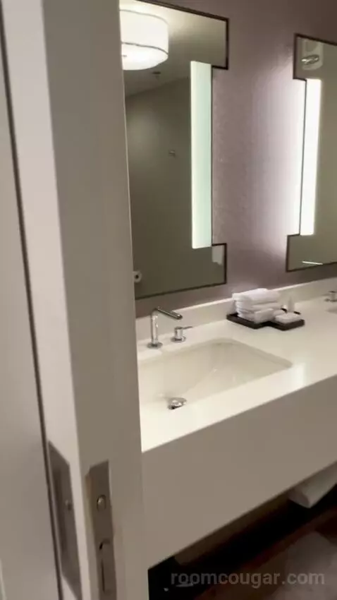 Julius Executive King Room bathroom picture #12