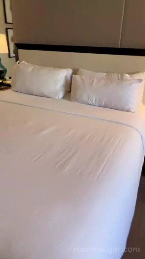 Julius Executive King Room bed picture #11