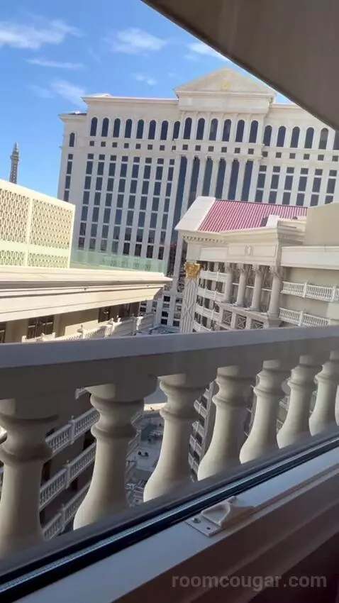 Julius Executive King Room view picture #4