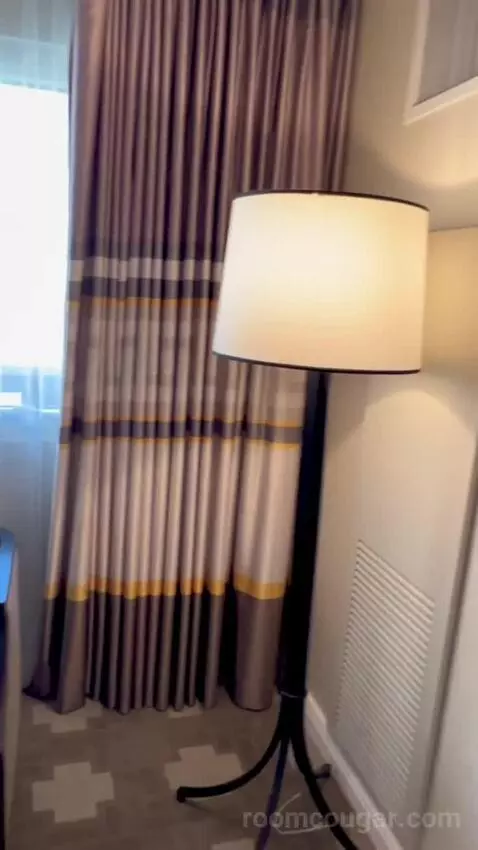 Julius Executive King Room picture #10