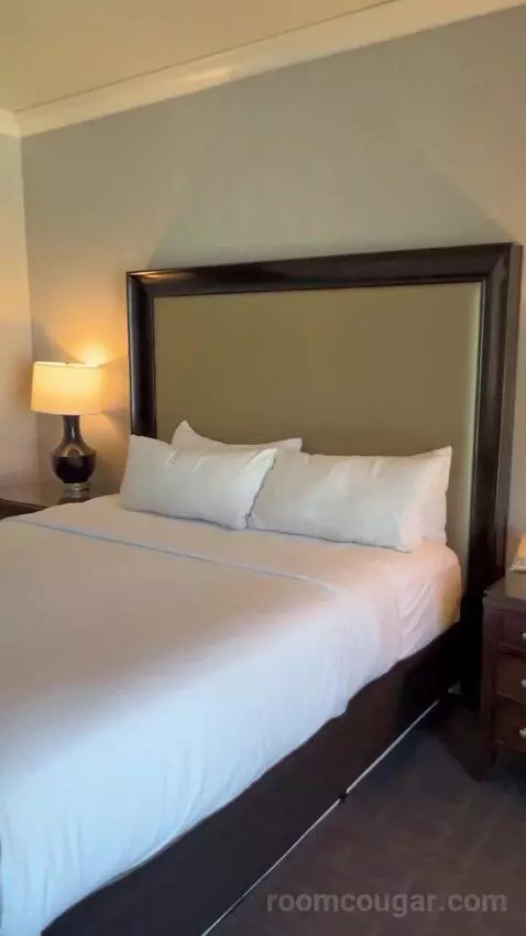 Augustus Premium Room, King bed picture #5