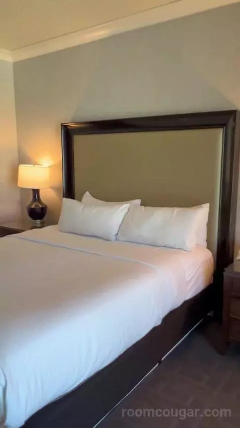 Augustus Premium Room, King bed picture #6