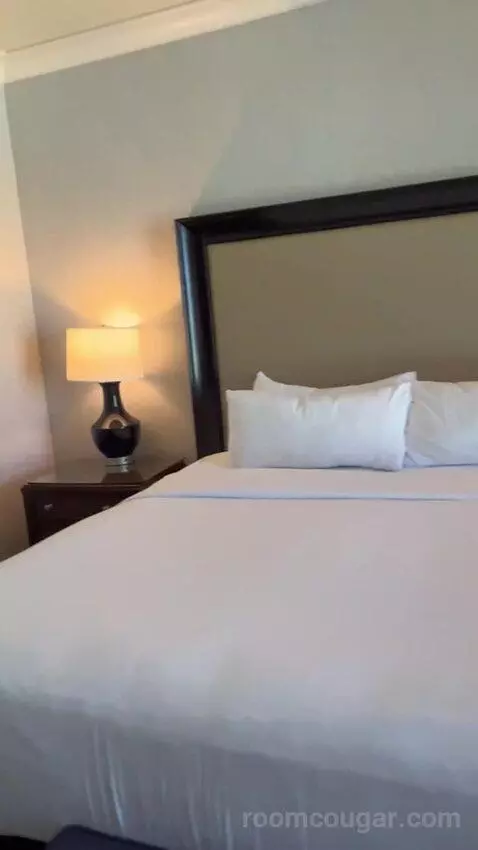 Augustus Premium Room, King bed picture #7