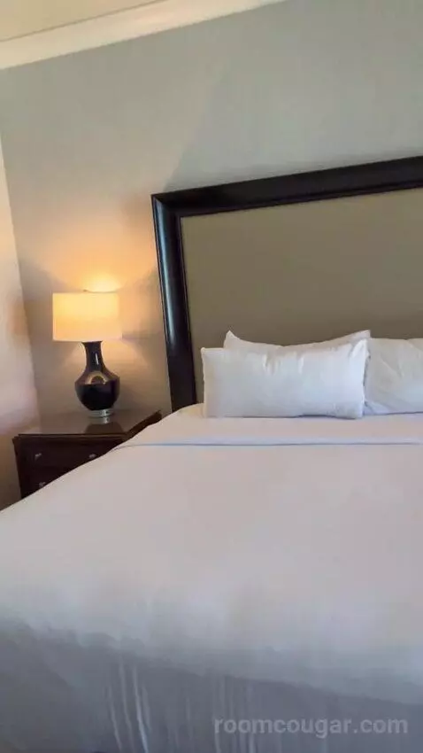 Augustus Premium Room, King picture #12