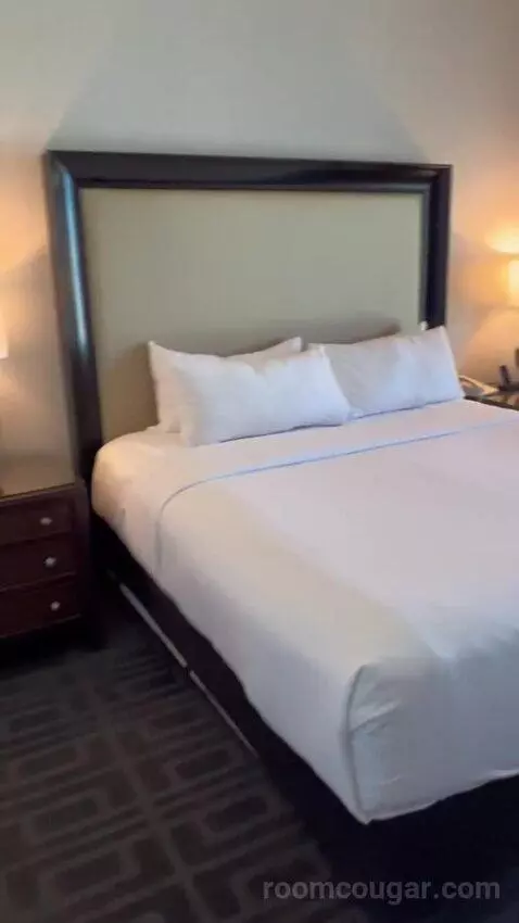 Augustus Premium Room, King bed picture #9