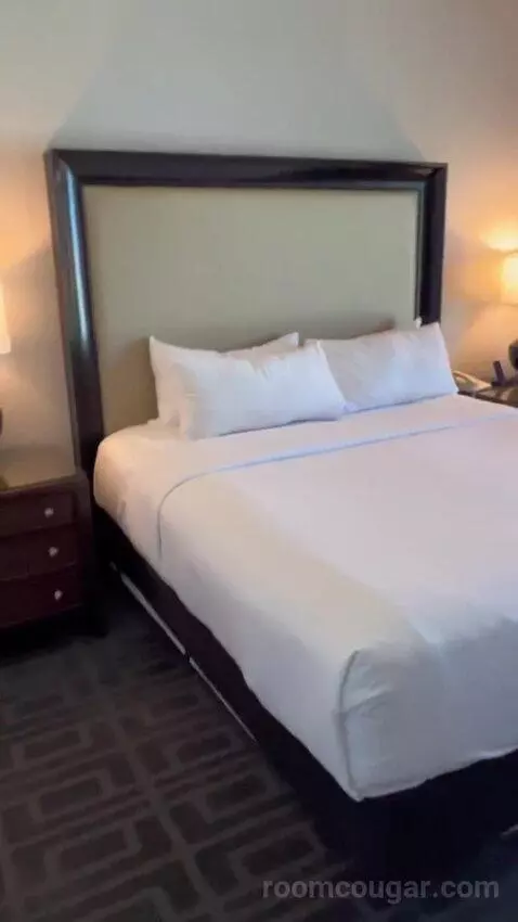 Augustus Premium Room, King bed picture #10