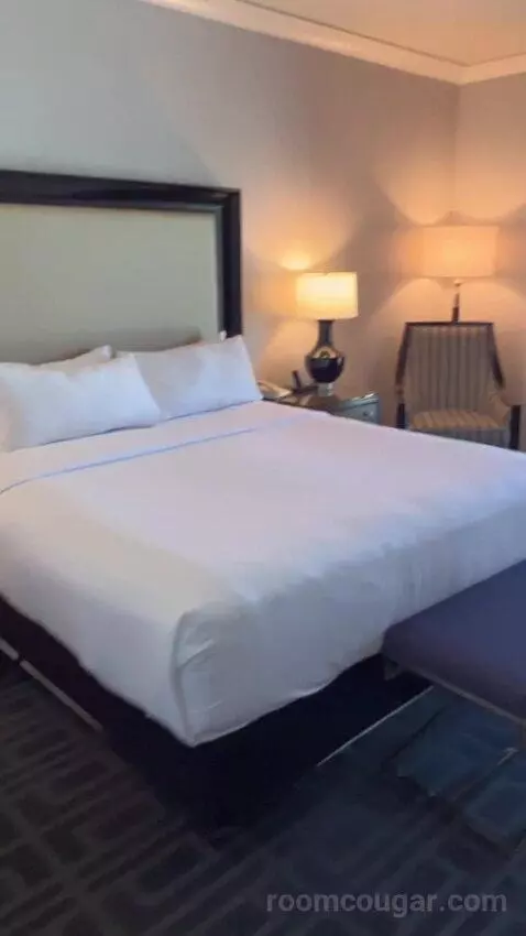 Augustus Premium Room, King bed picture #11